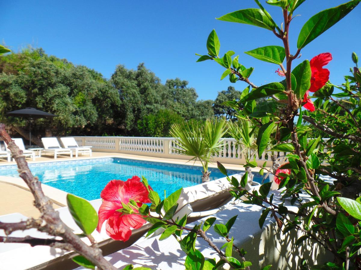 Panoramic Paradise São Brás de Alportel Exterior foto